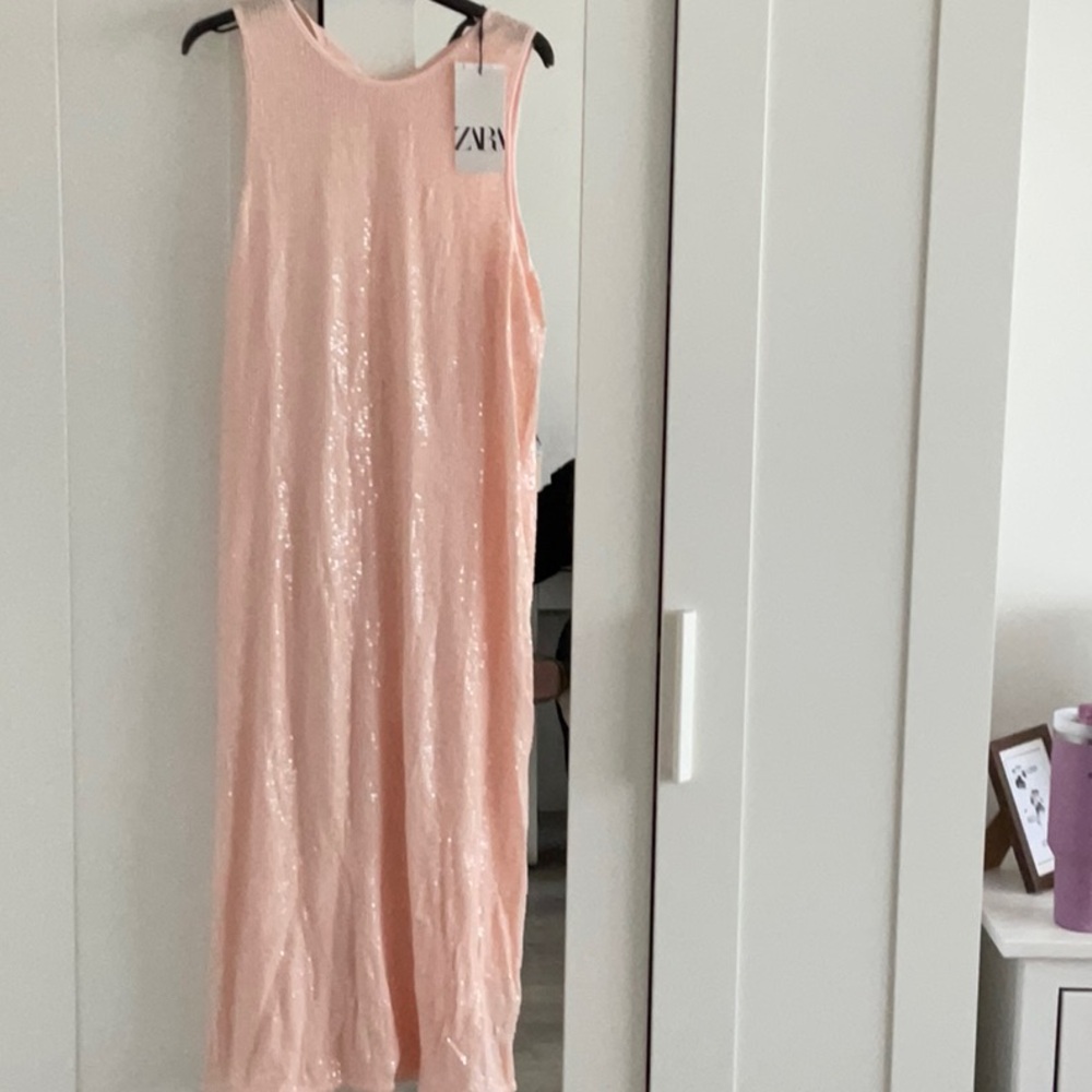 Zara Blush Sequin Sleeveless Gown